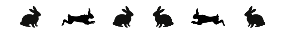 rabbit-setting